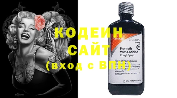 прущие грибы Арсеньев