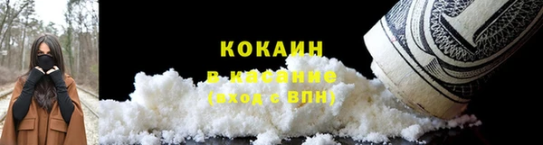 прущие грибы Арсеньев